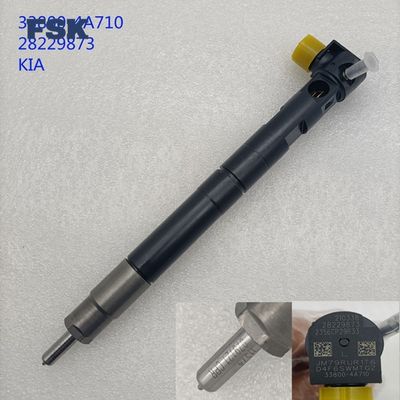 Durable Fuel Injector 28646399 28651415 Delphi Injector Assembly Suitable For X10009871