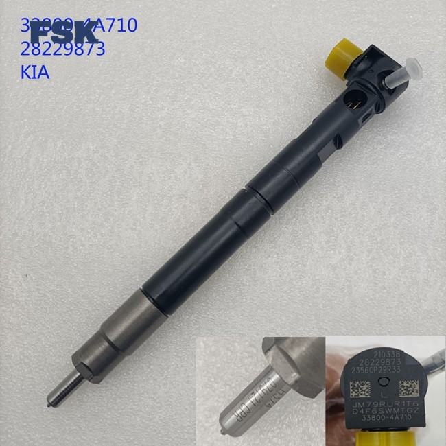 Durable Fuel Injector 28646399 28651415 Delphi Injector Assembly Suitable For X10009871